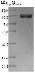 MyBioSource MBS9423845 image 1