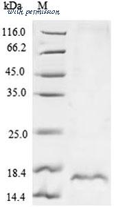 MyBioSource MBS9424018 image 1