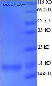 MyBioSource MBS956970 image 1