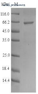 MyBioSource MBS965448 image 1