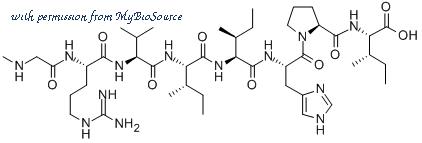 MyBioSource MBS8203742 image 1