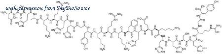 MyBioSource MBS826319 image 1