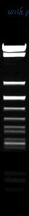 MyBioSource MBS638457 image 1
