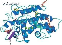 MyBioSource MBS653730 image 2