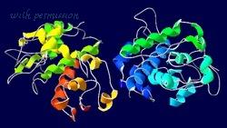 MyBioSource MBS653950 image 1