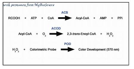 MyBioSource MBS168010 image 1