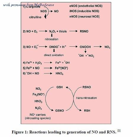 MyBioSource MBS168048 image 1