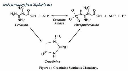 MyBioSource MBS168306 image 1
