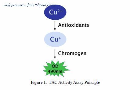 MyBioSource MBS168358 image 1