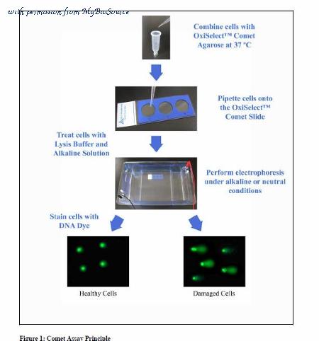 MyBioSource MBS168415 image 1