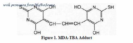 MyBioSource MBS168658 image 1