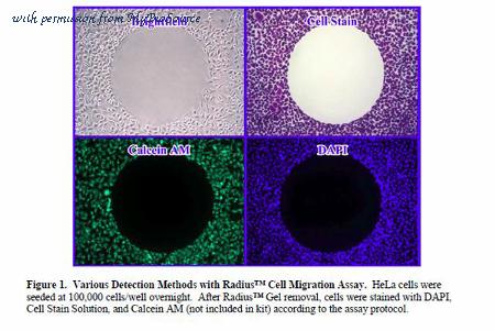 MyBioSource MBS168756 image 2