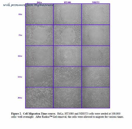 MyBioSource MBS168756 image 3
