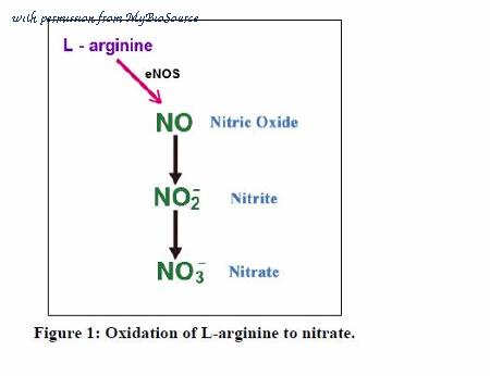MyBioSource MBS168898 image 1