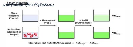 MyBioSource MBS169125 image 1