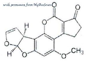 MyBioSource MBS478159 image 1