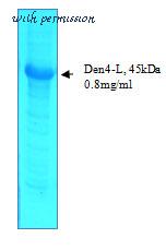 MyBioSource MBS596092 image 1