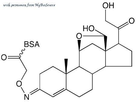 MyBioSource MBS639059 image 1