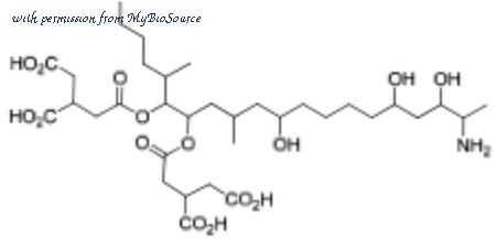 MyBioSource MBS641011 image 1