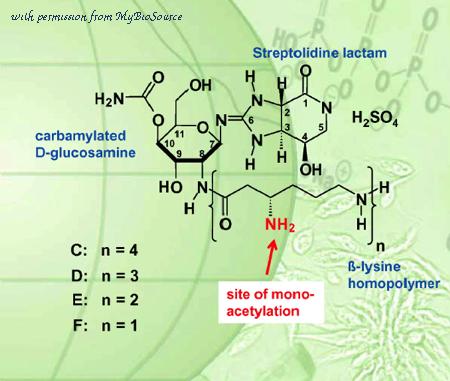 MyBioSource MBS651383 image 1