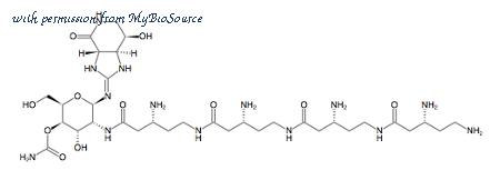MyBioSource MBS651383 image 3