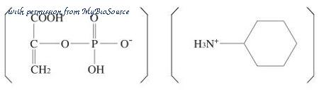 MyBioSource MBS653912 image 1