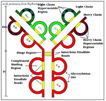 MyBioSource MBS655640 image 1