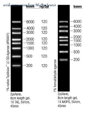MyBioSource MBS657630 image 1