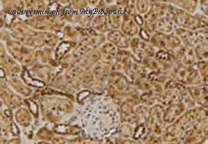 MyBioSource MBS002640 image 2