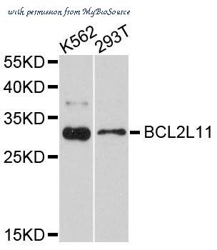 MyBioSource MBS126525 image 1