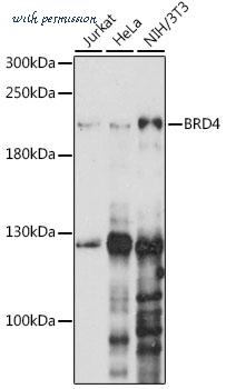 MyBioSource MBS126660 image 1