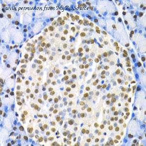 MyBioSource MBS126772 image 2