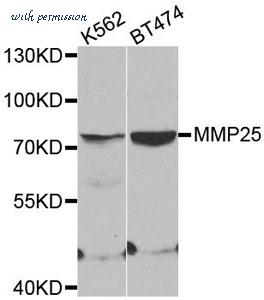 MyBioSource MBS126850 image 1
