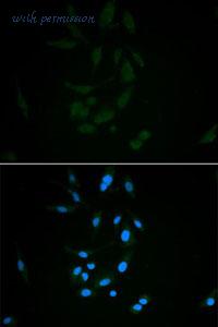 MyBioSource MBS127001 image 2