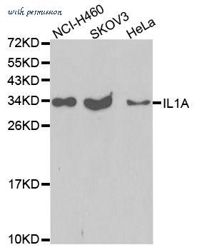 MyBioSource MBS127139 image 1