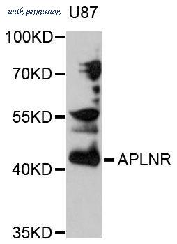 MyBioSource MBS127202 image 1