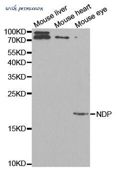 MyBioSource MBS127258 image 1