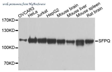MyBioSource MBS127424 image 1