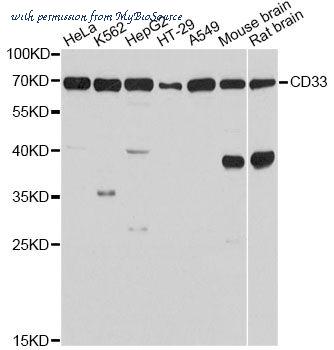 MyBioSource MBS127495 image 1