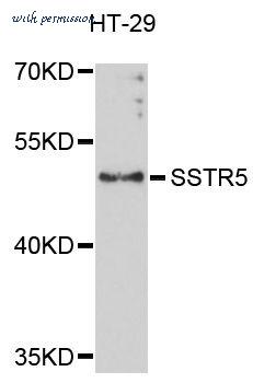 MyBioSource MBS128105 image 1