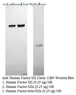 MyBioSource MBS135072 image 1