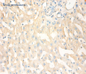 MyBioSource MBS1491095 image 1