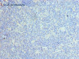 MyBioSource MBS1492400 image 2