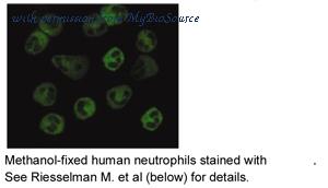 MyBioSource MBS190883 image 2