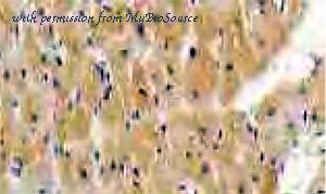 MyBioSource MBS2001344 image 3