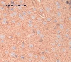 MyBioSource MBS2001703 image 2