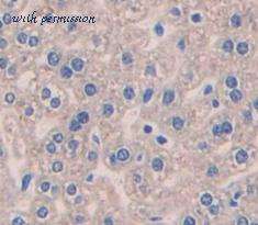 MyBioSource MBS2002309 image 3