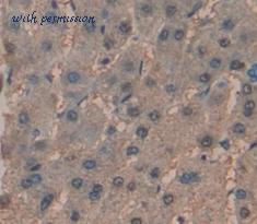 MyBioSource MBS2003092 image 3