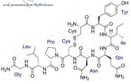 MyBioSource MBS2004440 image 1