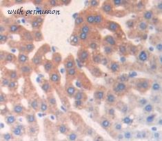 MyBioSource MBS2005172 image 2